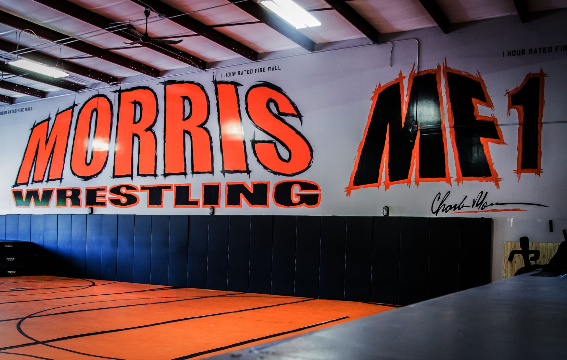 Hero: wide wrestling action photo